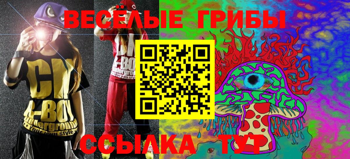 Галлюциногенные грибы мухоморы Каменка